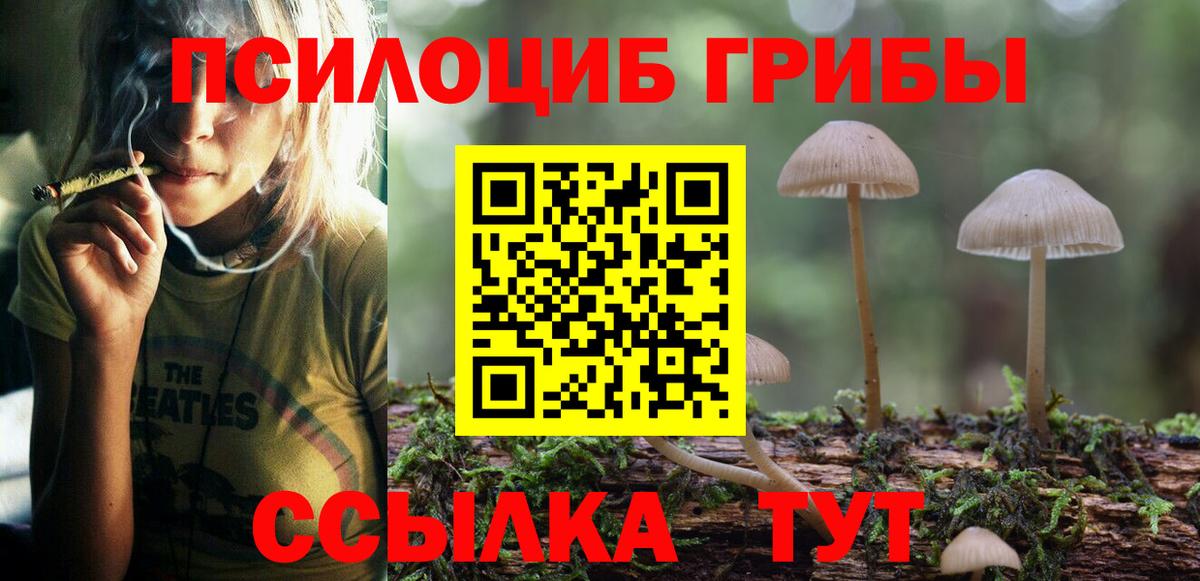 Галлюциногенные грибы мицелий Чапаевск
